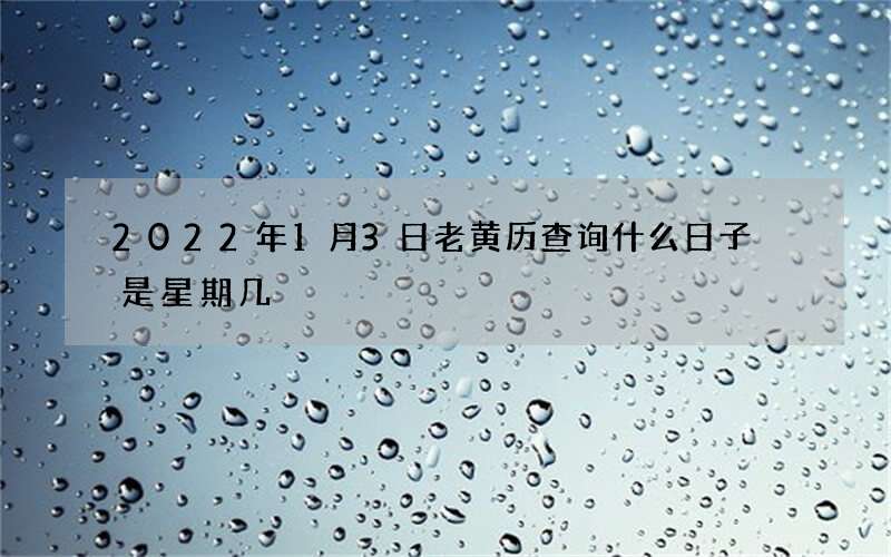 2022年1月3日老黄历查询什么日子 是星期几